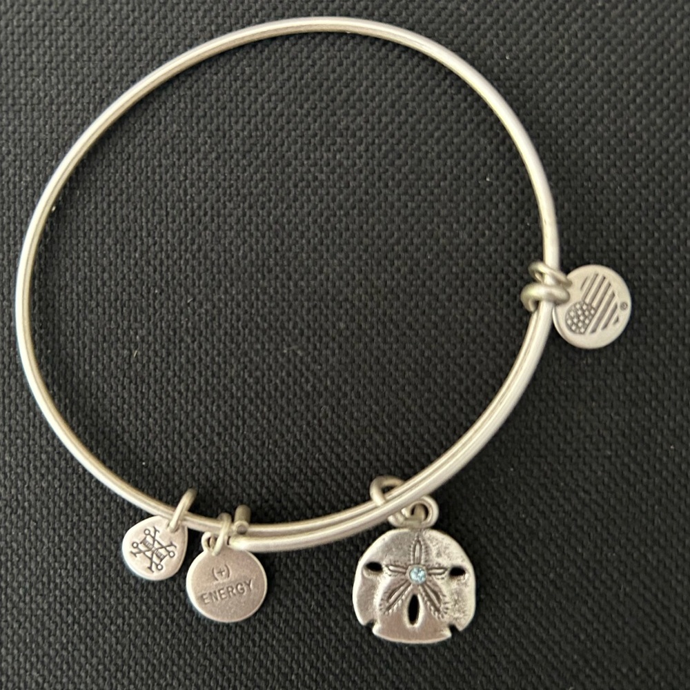 Alex and Ani silver charm bangles